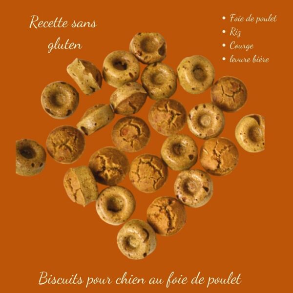Gros plan sur les biscuits naturels au foie de poulet pour chien, une récompense croquante riche en protéines et minéraux.