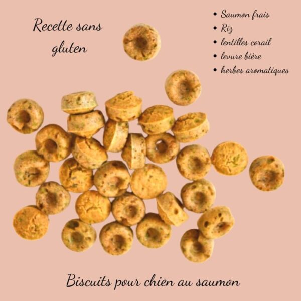 Biscuits Naturels pour Chien Saumon et Lentille Corail - Sans Gluten (100g)